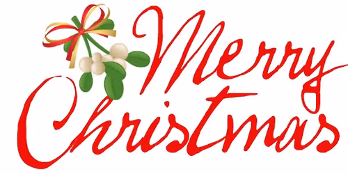 Activity-Christmas Party