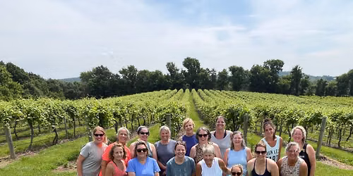 Barefoot int he Vineyard