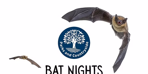 Bat Night Tanfield Lea Marsh