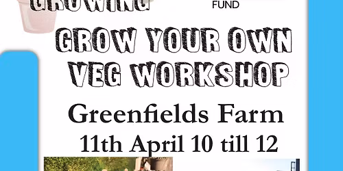 Grow Your Own Veg Workshop