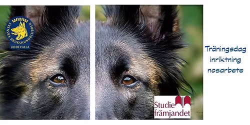 Tr\u00e4ningsdag - inriktning nosarbete (endast medlemmar)