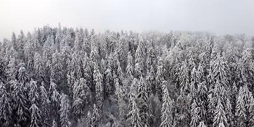 Taliharja Vanakuri Winter Ultra 2026 - Ugandi