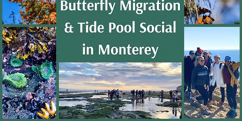 Monarch Butterflies & Tide Pool Social in Monterey