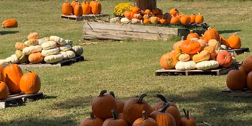 2026 Pumpkin Patch opening day