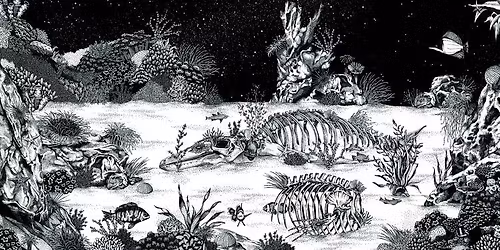 Michael Stavaric liest aus "Faszination Wale"