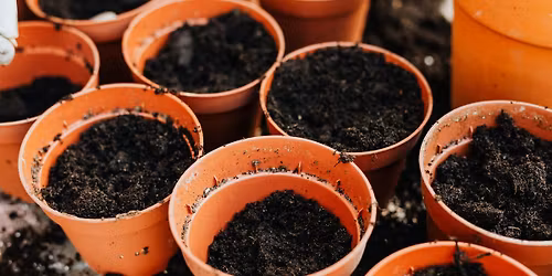 Container Gardening and Beyond