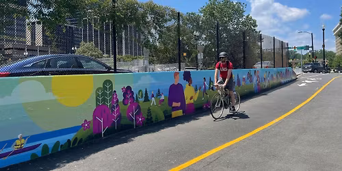 Rosslyn Vegetation cleanup