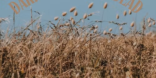 After School Explorers: Dark, Dank, and Dead