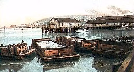 Tide Talk : Harris Bay History with Kolby LaBree.