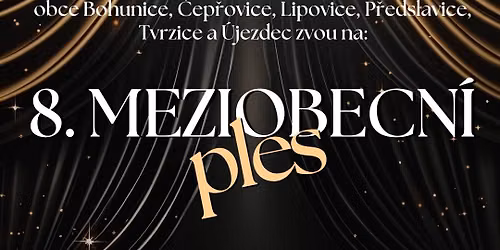 8. MEZIOBECN\u00cd PLES 