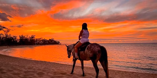 Lahaina: Maui Mountain & Ocean on Horseback - Daily