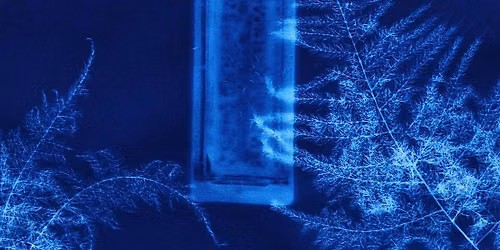 Botanical + Found Object Cyanotype Workshop w Claudette Torneden