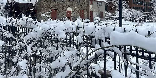 Brooklyn Brandenburgers 2025 Family Holiday Concert