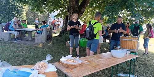 Pohod po Svarunovi poti