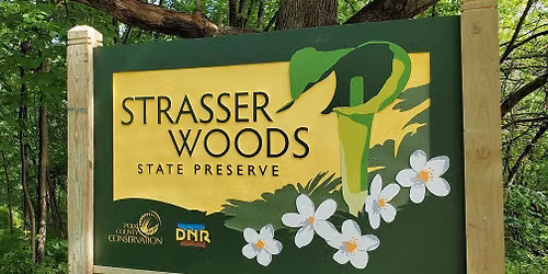 Strasser Woods - Des Moines Foray