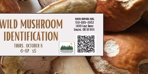 Wild Mushroom Identification Presentation