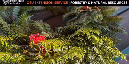 From Forest to Front Door: A Wreath Making Workshop