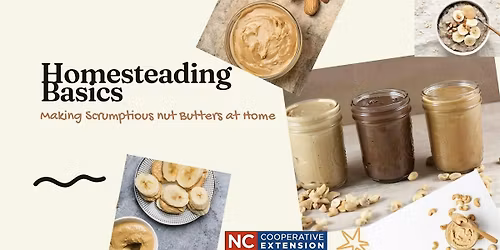 Homesteading Basics: Making Scrumptious Nut Butters at Home