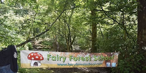 SEND Only - Fairy Forest