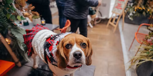 BEAGLE CAFE CHRISTMAS - BIRMINGHAM