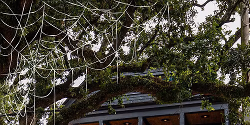 Halloween Haunt at The Blackbird