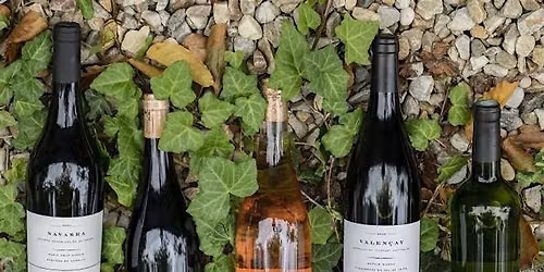 Sips Of Summer #5; A Tour of Mary Taylor Wines
