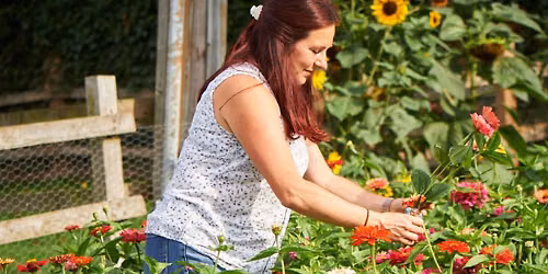 Pick your own flowers