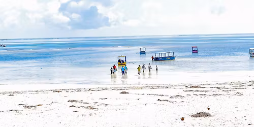 MALINDI-WATAMU CHRISTMAS VACATION