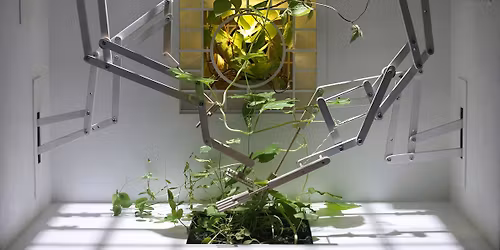 Petri Eskelinen: BOTANICAL MECHANICAL PARTICLE