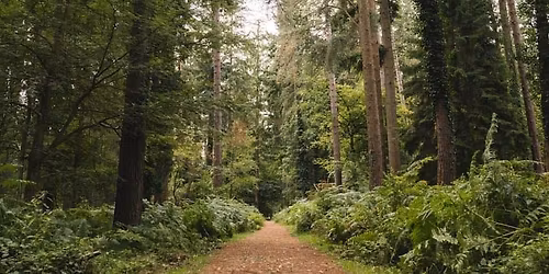 Swing Into Christmas!!