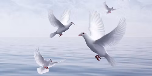 MEDITATION F\u00dcR DEN FRIEDEN