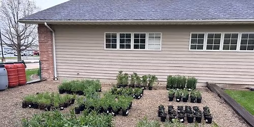Perennial Plant Sale