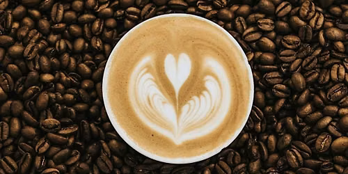 Mind Body Brew at the Purple Painted Lady Coffee Shop