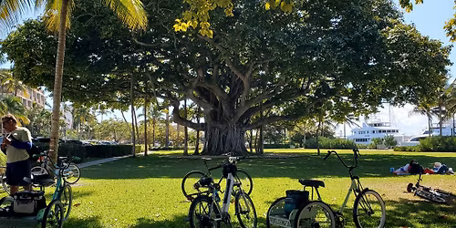 Palm Beach BEFORE Dark aka Garden Tour Ride \ud83c\udf3f