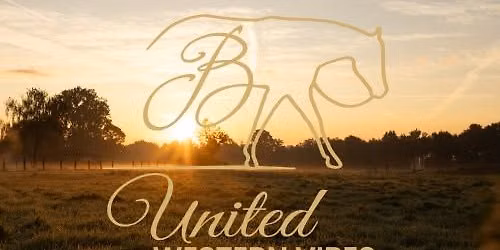 United Western Vibes AQHA\/NSBA\/Rasseoffen