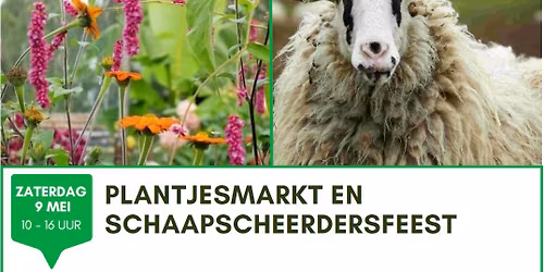 PLANTJESMARKT EN SCHAAPSCHEERDERSFEEST