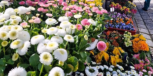 Zirndorfer Frühlingsmarkt mit verkaufsoffenem Sonntag, 22.03.2026