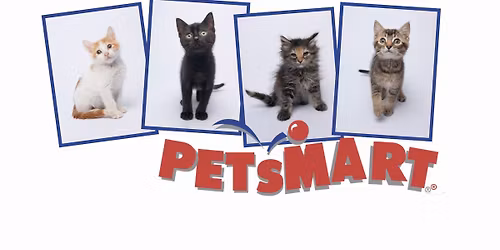 Meow Village PetSmart Adoption Event