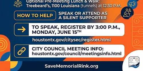 Houston City Council Meeting