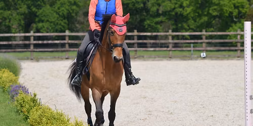 Ryan O'Sullivan Showjumping Clinic