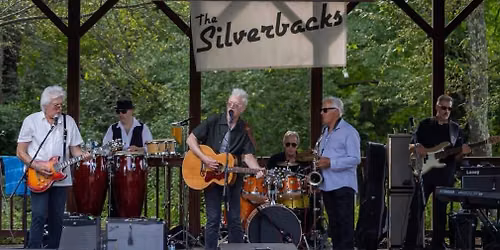 The Mighty Silverbacks return to The MCL 