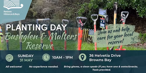 Community Planting Day - Bushglen & Malters Reserve, Browns Bay