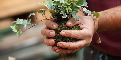 Kokedama Garden Workshop at the Botanical Gardens