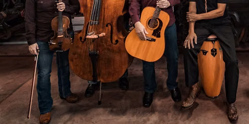 Live music with Joe and The Wheel Monkeys 