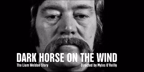 Dark Horse on the Wind