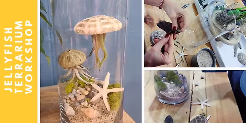 Jellyfish Terrarium Workshop