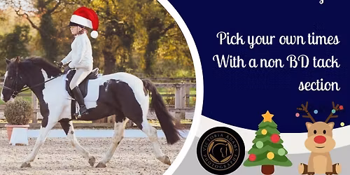 \ud83c\udf84\ud83e\udd36CHRISTMAS Stressless Dressage, TBQ