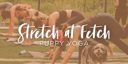 Stretch at Fetch Puppy Yoga | Tulsa
