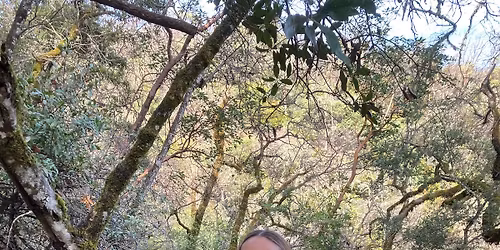 Trail Day - Volunteer at Lookout Peak Trail System