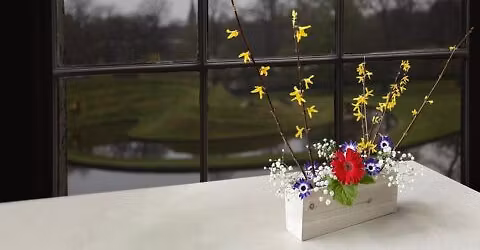 Introduction to Ikebana